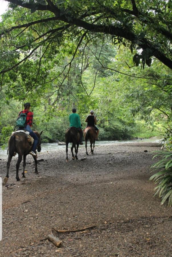 Rainforest Lodge Del Rio 포르토벨로 외부 사진