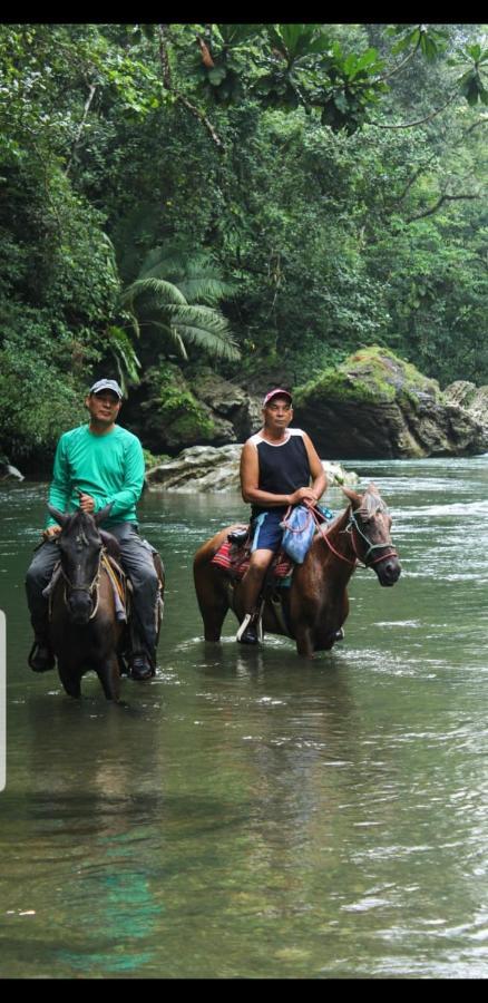 Rainforest Lodge Del Rio 포르토벨로 외부 사진