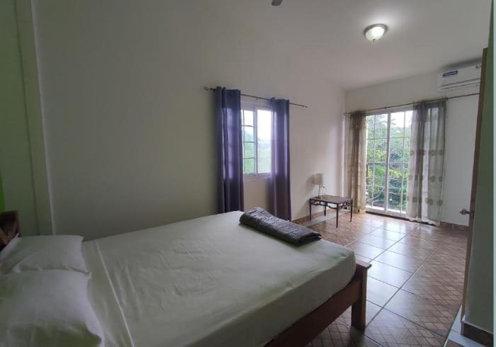 Rainforest Lodge Del Rio 포르토벨로 외부 사진