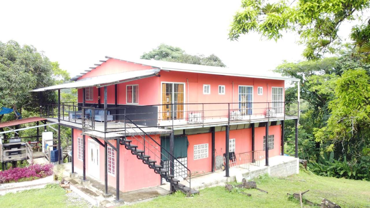 Rainforest Lodge Del Rio 포르토벨로 외부 사진