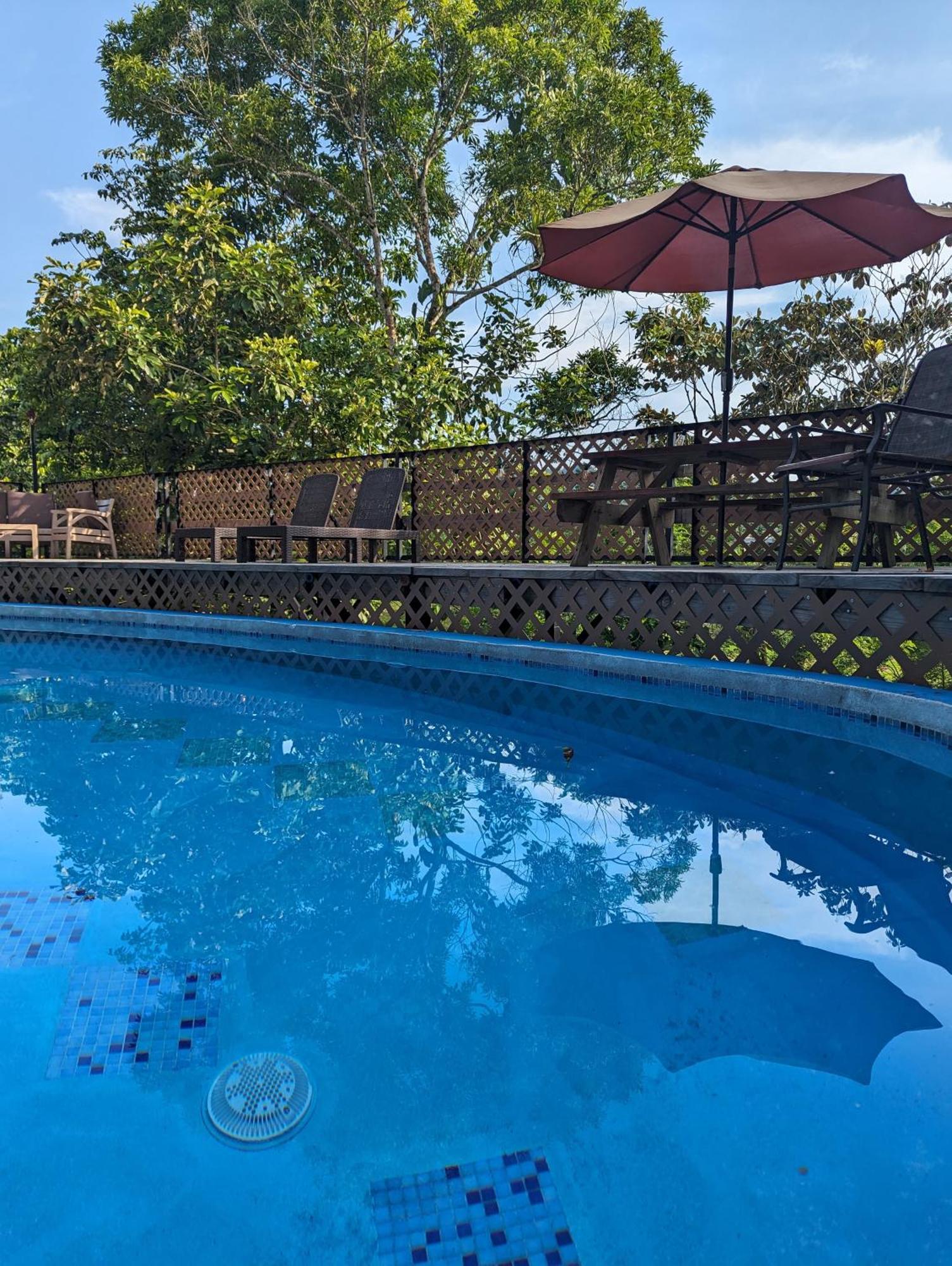 Rainforest Lodge Del Rio 포르토벨로 외부 사진