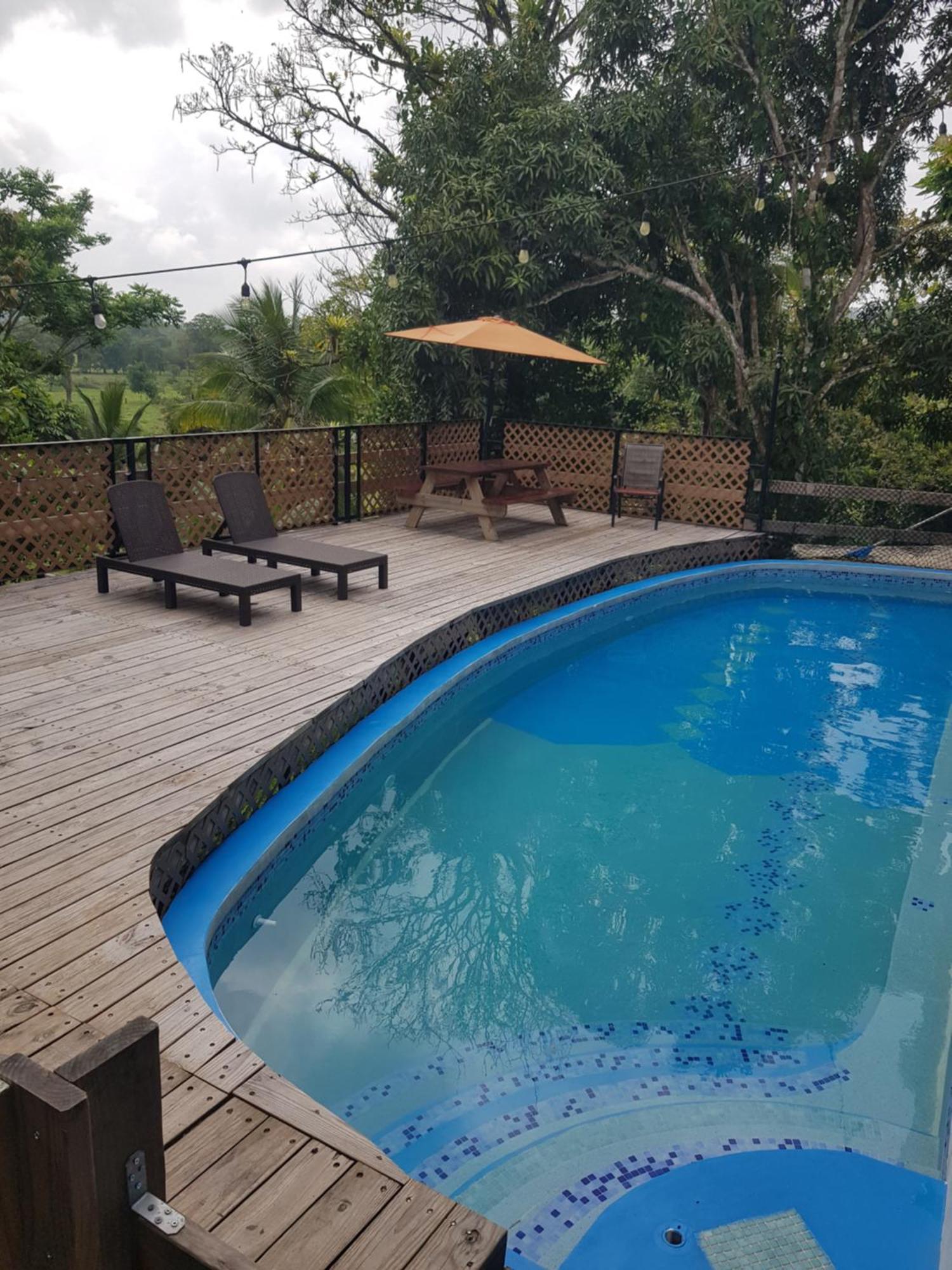 Rainforest Lodge Del Rio 포르토벨로 외부 사진
