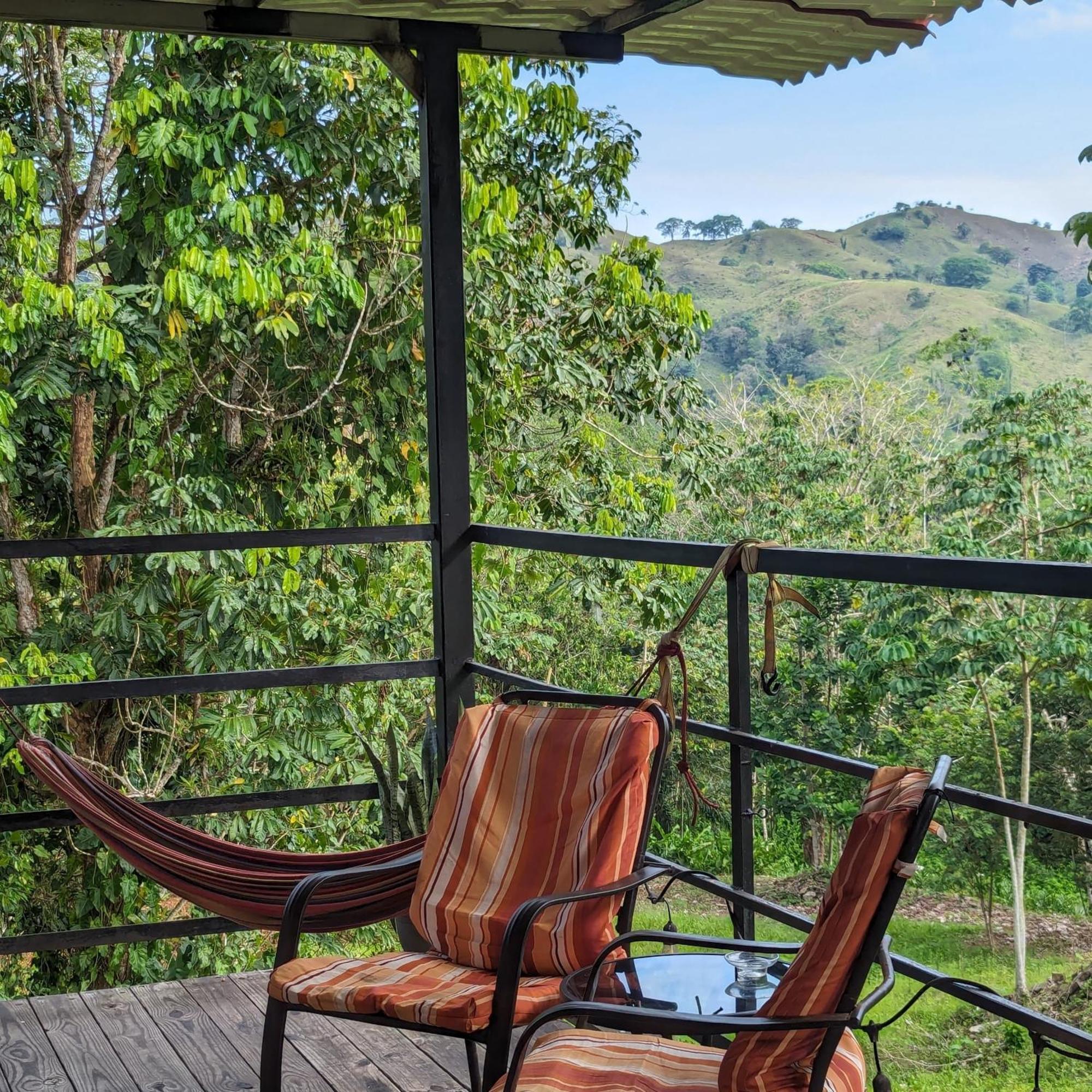 Rainforest Lodge Del Rio 포르토벨로 외부 사진